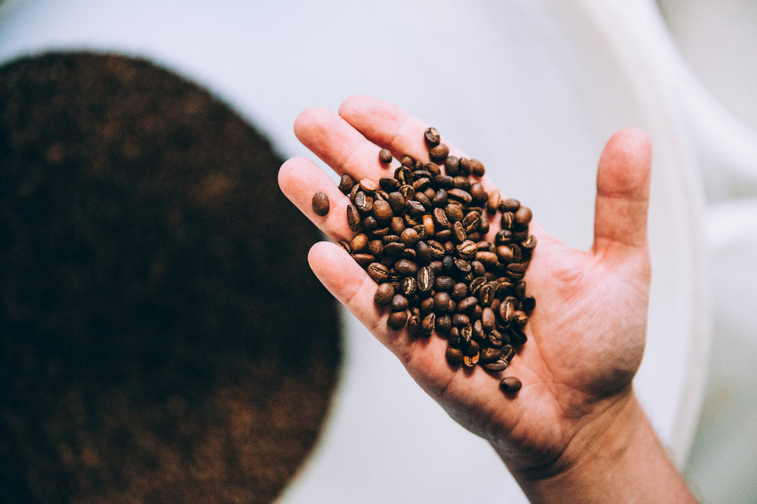 COFFEE CLUB CANADA suggest a roaster